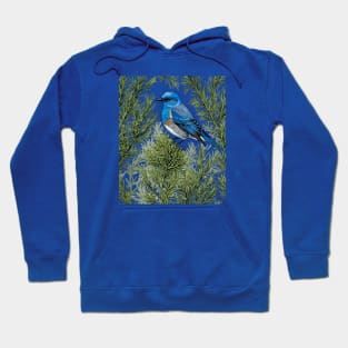 Nevada Mountain Bluebird And Sagebrush 1 Hoodie